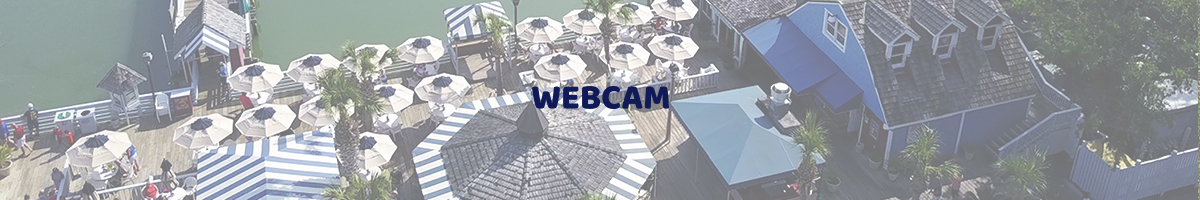 Banner of Overhead drone shot of salty dog cafe in south beach, with salty dog logo and events written on it.